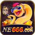 ne666 Logo